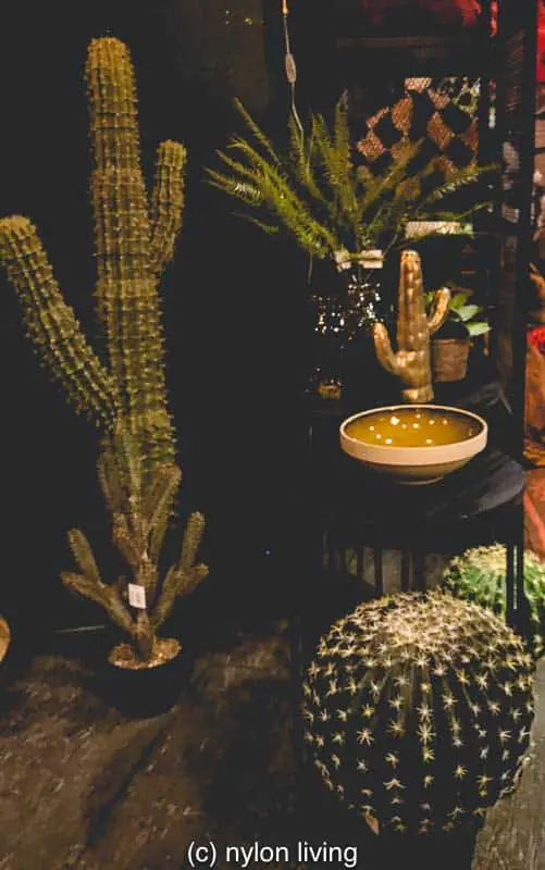 Abigail Ahern Cactus selection #AbigailAhern #darkdecor #interiordesign #interiorstyling #homedecor