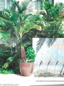 The Betsy Hotel courtyard fountain