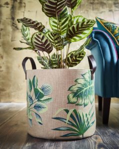 palm storage basket and player plant