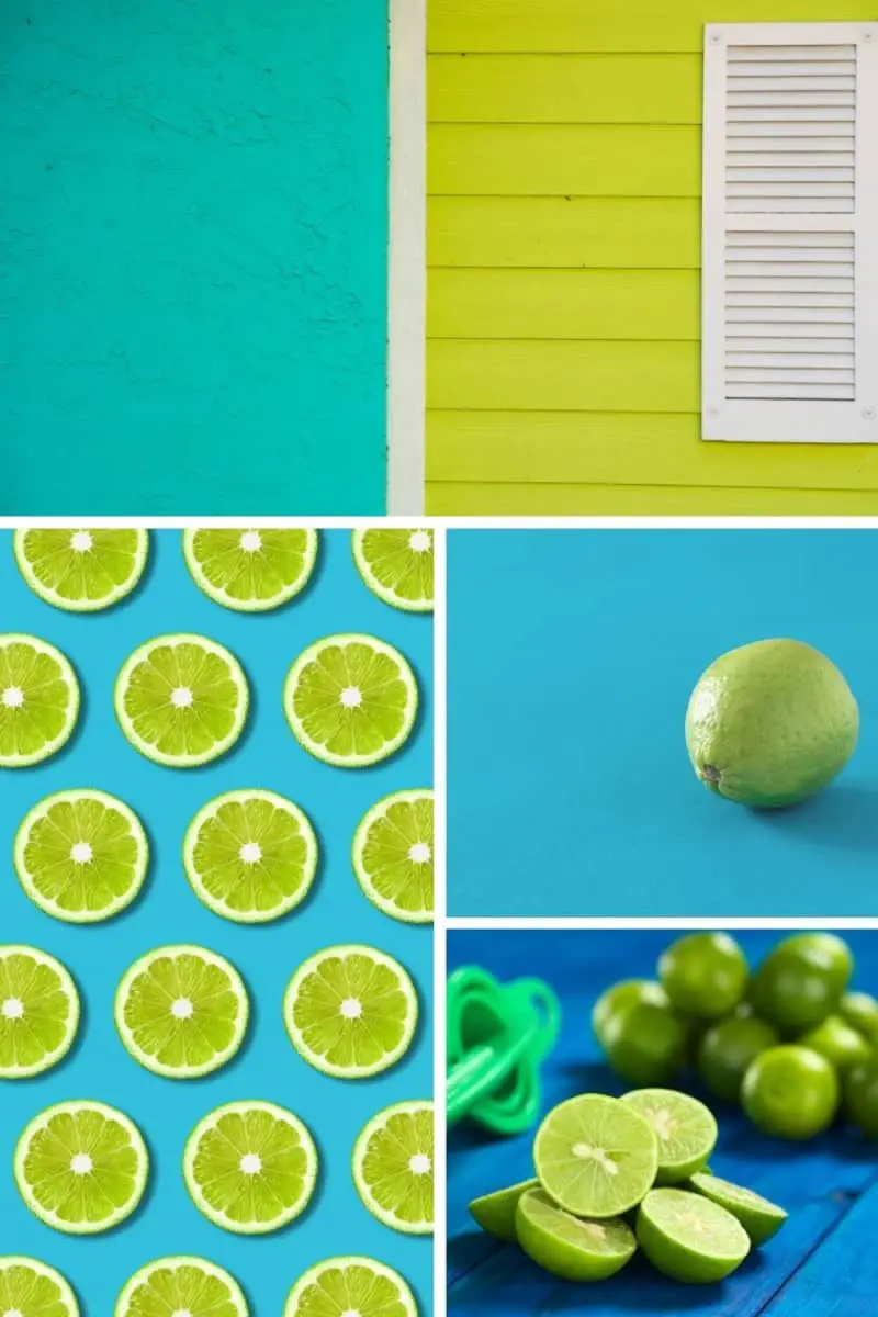 Lime Green Color Palette