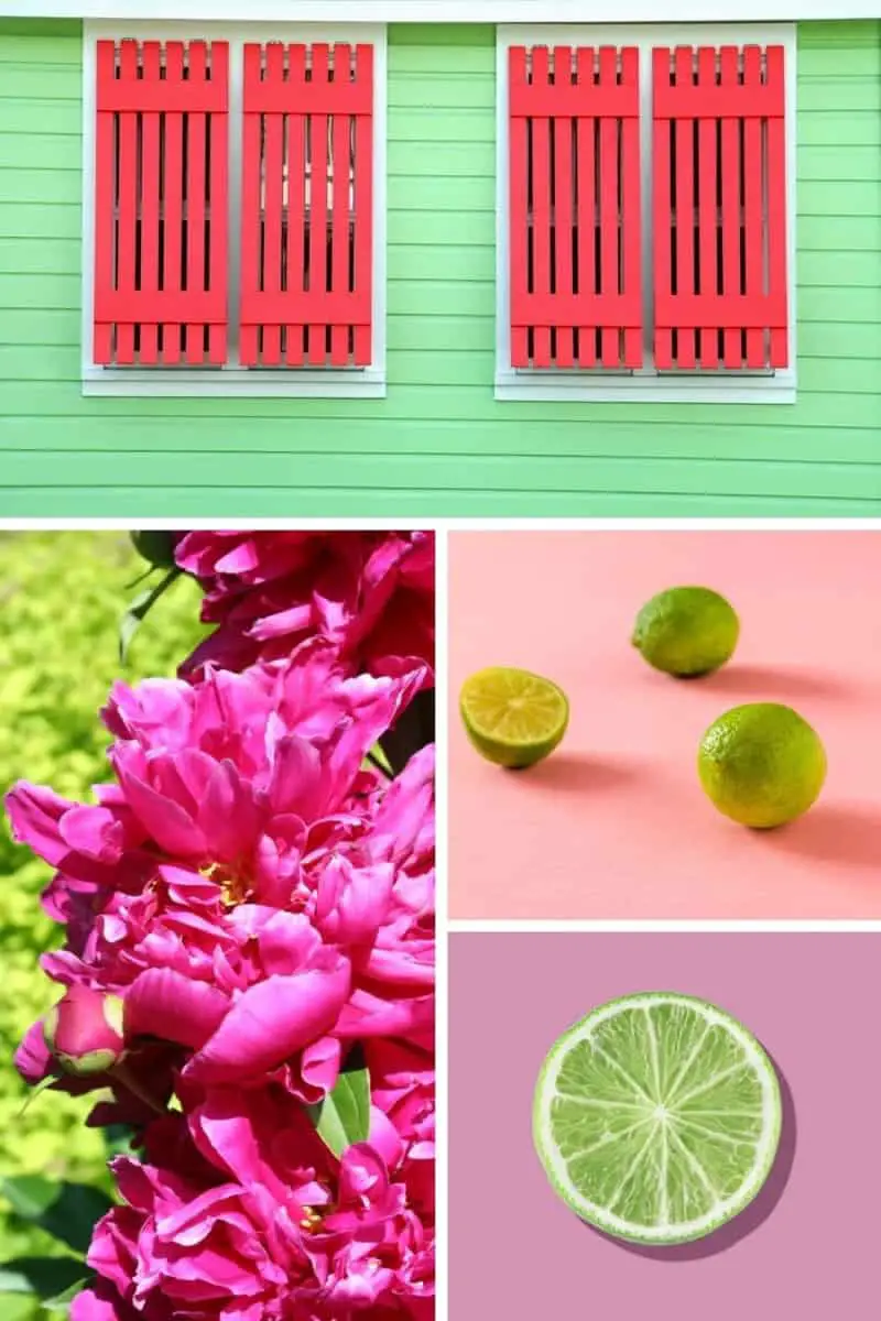 what-color-do-pink-and-green-make-colorscombo