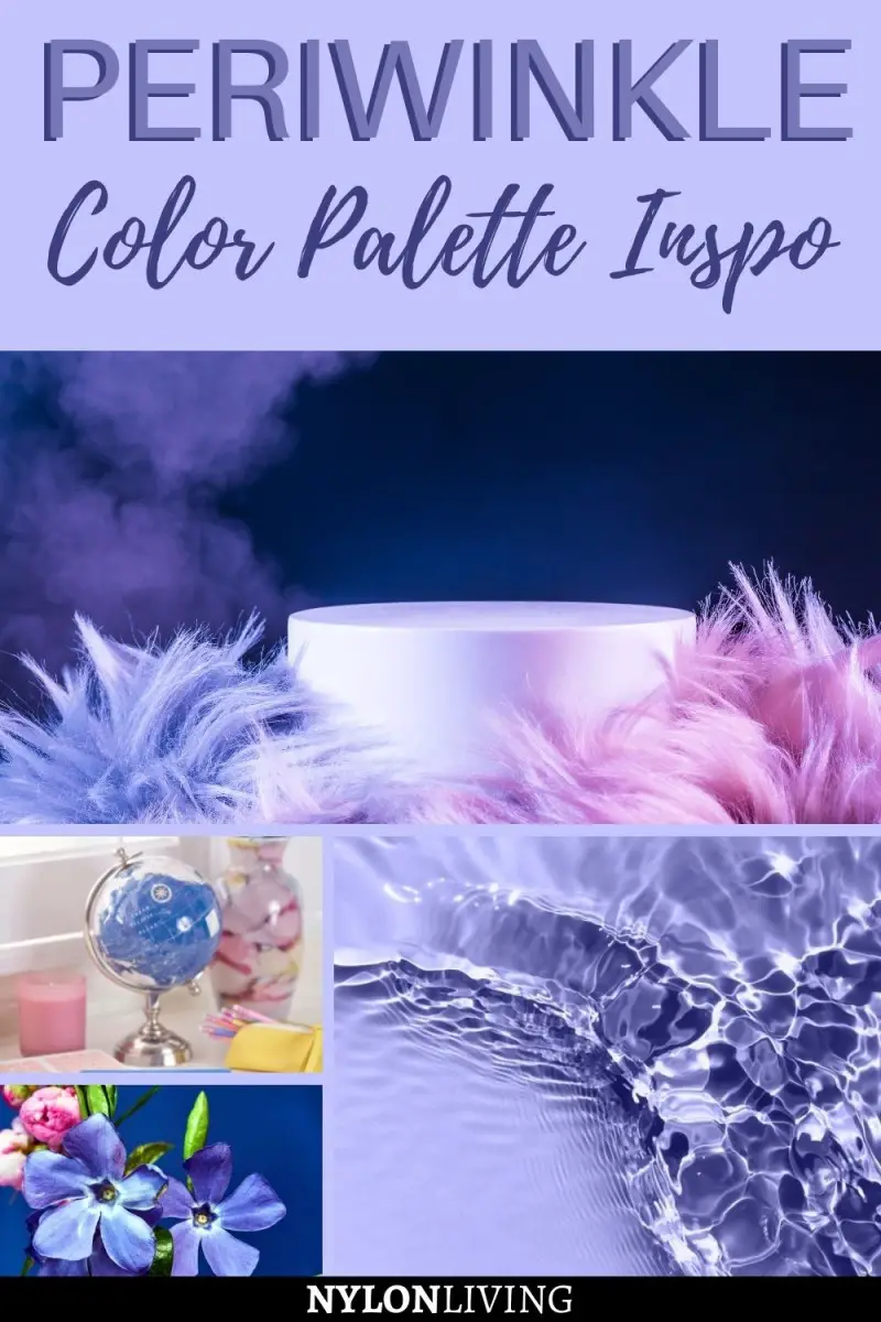 Pinterest Image of periwinkle color schemes along with the text: "Periwinkle color palette Inso" 