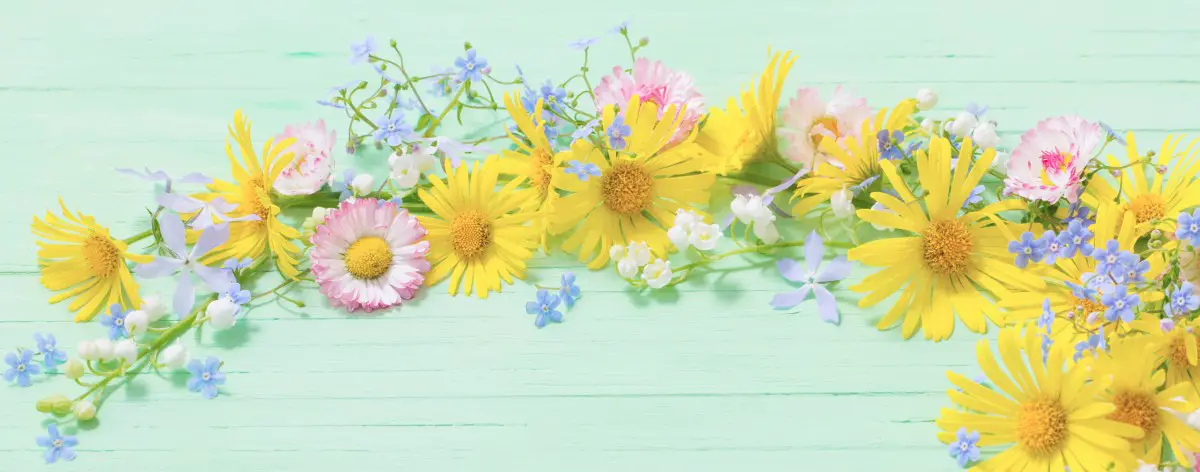 flowers on a green background with a periwinkle and yellow flowers