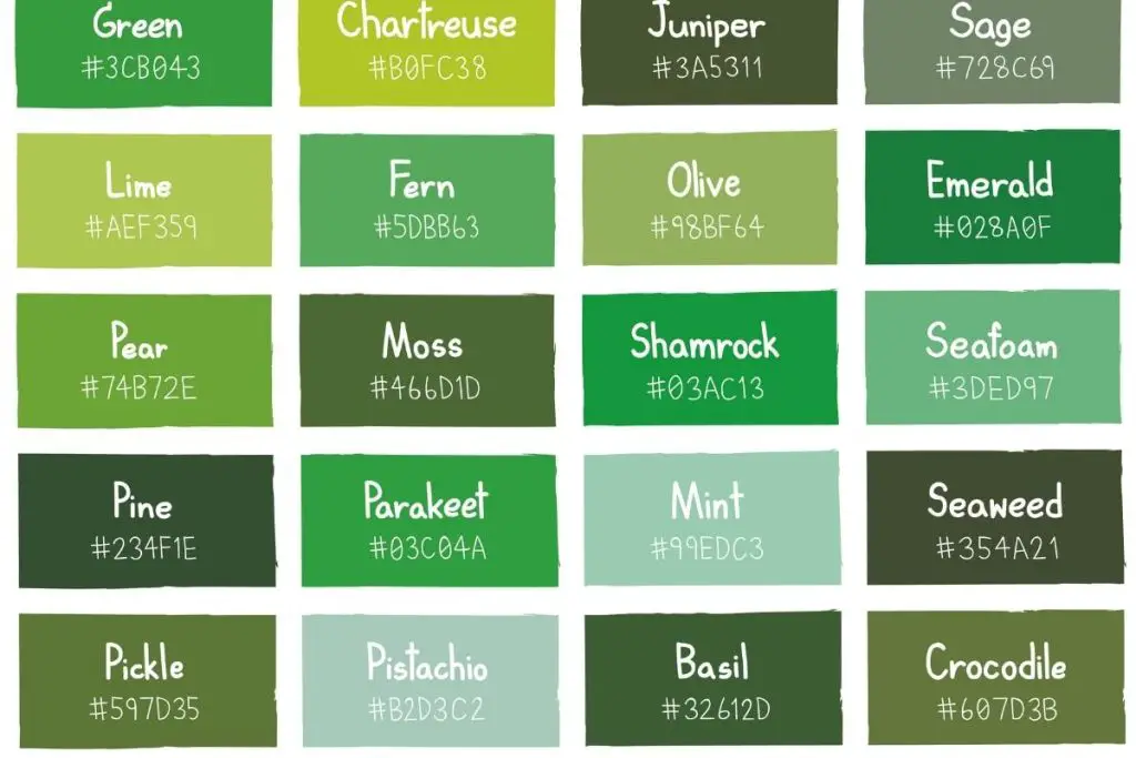 Exploring the Perfect Color Combinations for Emerald Green NYLon Living