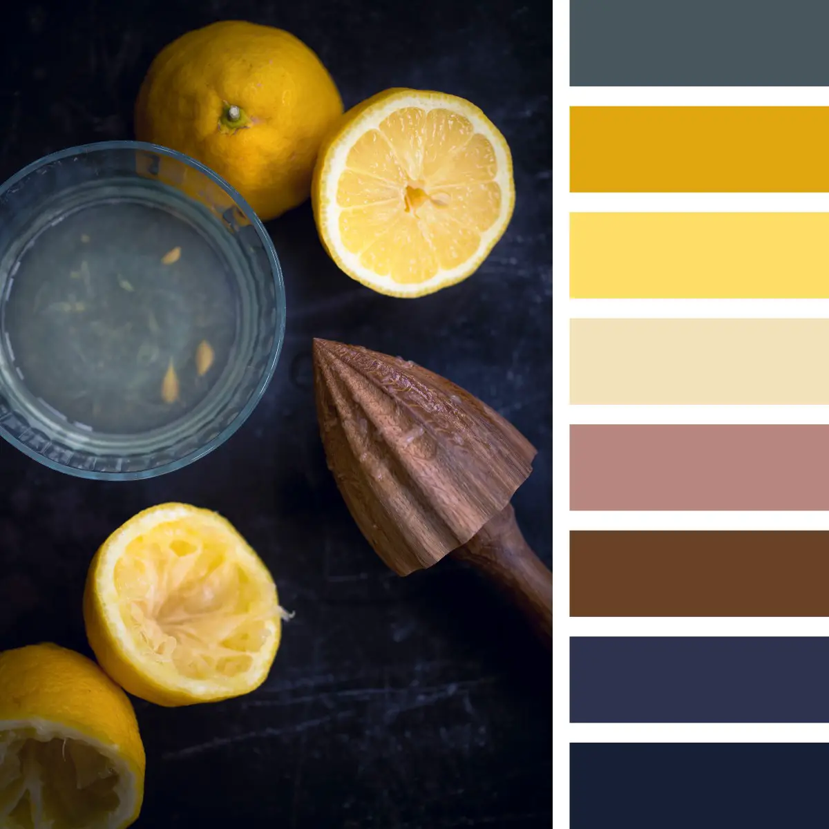 a color palette of lemon yellow and brown
